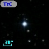 TYC  975-1279-1