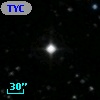 TYC  976-977-1