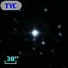 TYC  977-116-1
