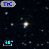TYC  978-874-1