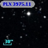 PLX 3975.11