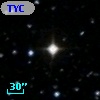 TYC  991-1687-1