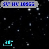 SV* HV 10955