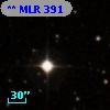 ** MLR   391