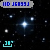 HD 160981