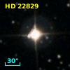 HD  22829
