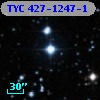 TYC  427-1247-1