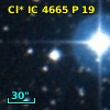 Cl* IC 4665      P      19