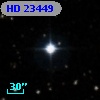HD  23449