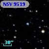 NSV  9519