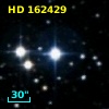 HD 162429