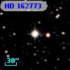 HD 162773