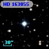 HD 163055