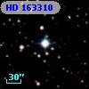 HD 163310