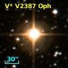 V* V2387 Oph