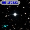 HD 162992