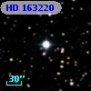 HD 163220