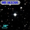 HD 163268