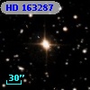 HD 163287