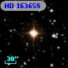 HD 163658