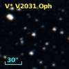 V* V2031 Oph