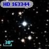 HD 163344
