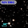 NSV  9901