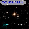 TYC  429-267-1