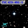 TYC  429-491-1
