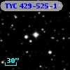 TYC  429-525-1