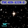 TYC  429-1229-1