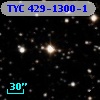 TYC  429-1300-1