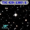 TYC  429-1307-1