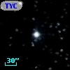 TYC  994-981-1