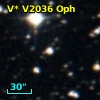 V* V2036 Oph