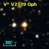 V* V2339 Oph