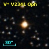 V* V2341 Oph