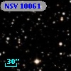 NSV 10061
