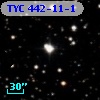TYC  442-11-1