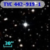 TYC  442-919-1