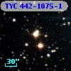 TYC  442-1075-1