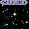 TYC  442-1263-1