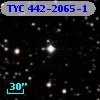 TYC  442-2065-1