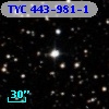 TYC  443-981-1
