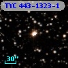 TYC  443-1323-1