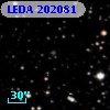 LEDA  202081