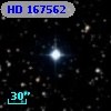HD 167562