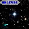 HD 167895