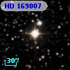 HD 169007
