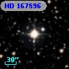 HD 167896